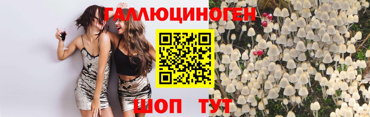 Йошкар-Ола  Галлюциногенные грибы Psilocybine cubensis  Вход с VPN 