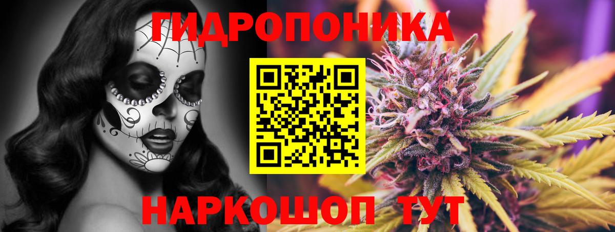 Конопля MAZAR  Шишки марихуана MAZAR  Йошкар-Ола  Вход с VPN  Каннабис ГИДРОПОН 